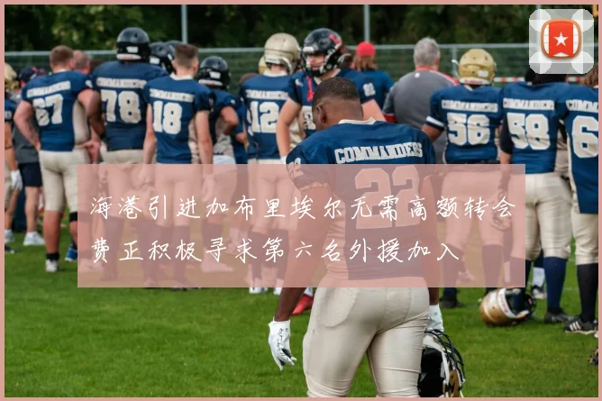 海港引进加布里埃尔无需高额转会费正积极寻求第六名外援加入