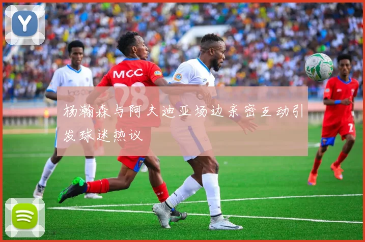 杨瀚森与阿夫迪亚场边亲密互动引发球迷热议