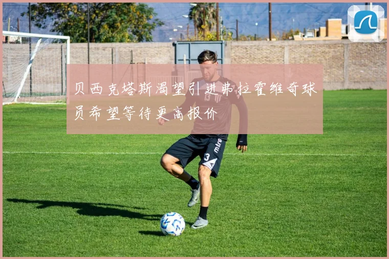 贝西克塔斯渴望引进弗拉霍维奇球员希望等待更高报价