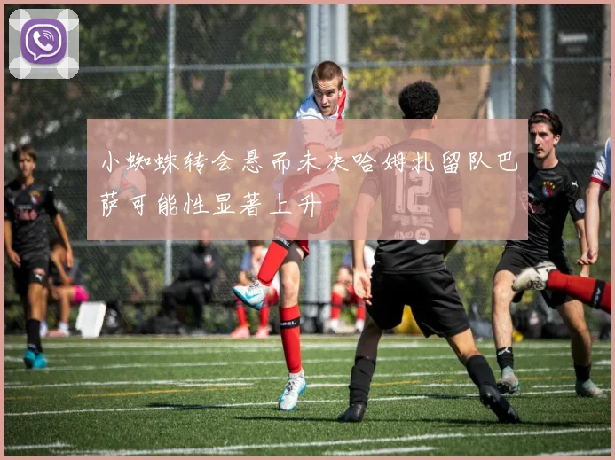 小蜘蛛转会悬而未决哈姆扎留队巴萨可能性显著上升