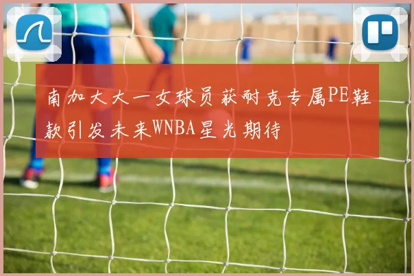 南加大大一女球员获耐克专属PE鞋款引发未来WNBA星光期待