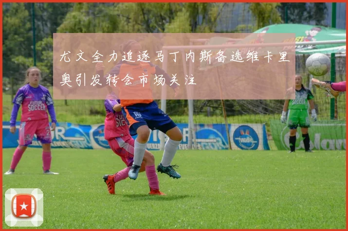 尤文全力追逐马丁内斯备选维卡里奥引发转会市场关注